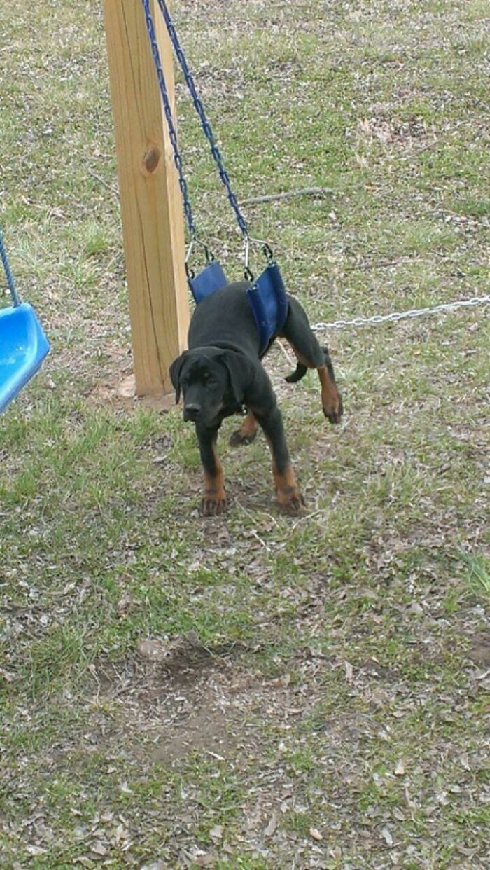 Caught In A Swing