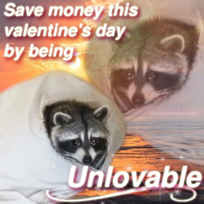 “Nocturnal Trash Posts”: 30 Of The Best Raccoon Memes This Dedicated Instagram Account Has To Offer