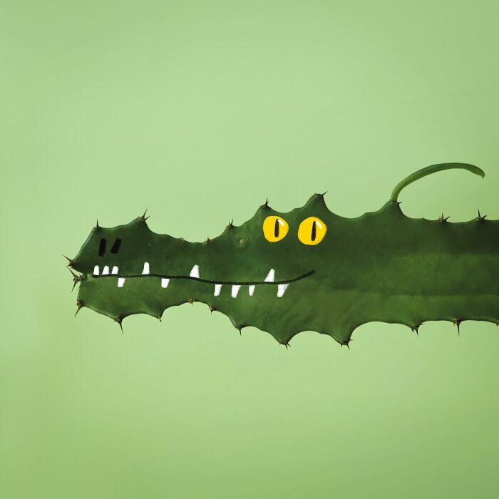 A playful illustration of a green cactus leaf transformed into a crocodile head with painted yellow eyes and teeth