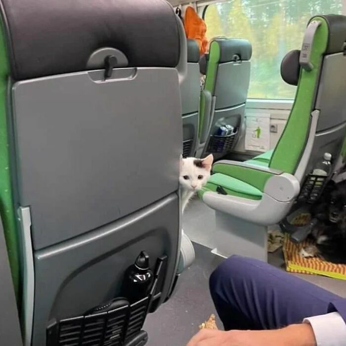 IG Account Posts Pics So Adorable, It’s Basically The Opposite Of Doom Scrolling (30 Pics)