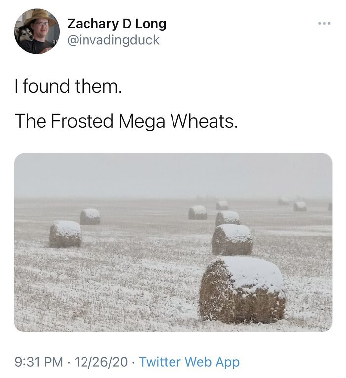 Snow-covered hay bales resembling Frosted Mega Wheats, a humorous take on forbidden foods in a winter field.