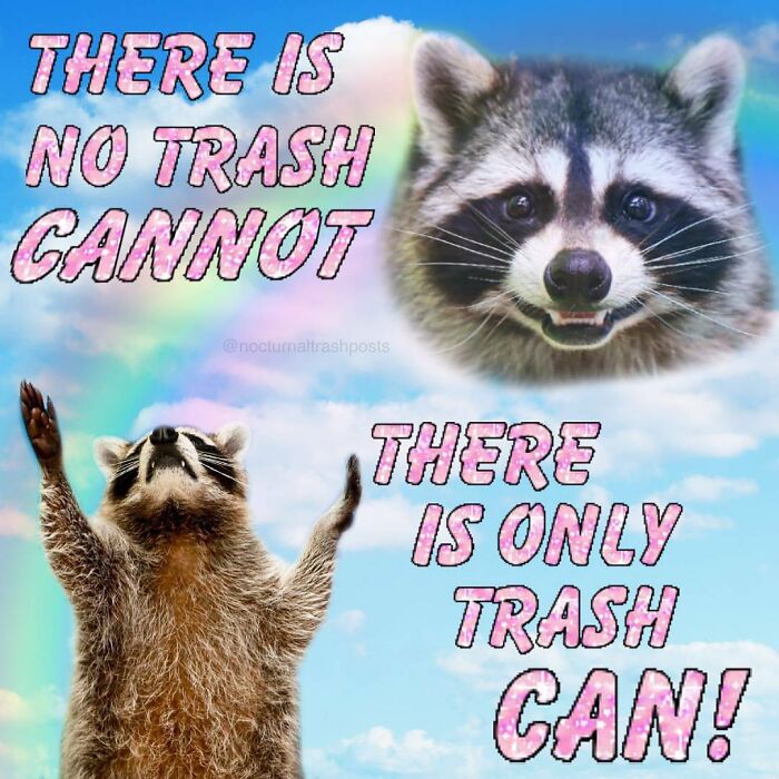 “Nocturnal Trash Posts”: 30 Of The Best Raccoon Memes This Dedicated Instagram Account Has To Offer