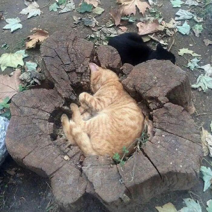 IG Account Posts Pics So Adorable, It’s Basically The Opposite Of Doom Scrolling (30 Pics)