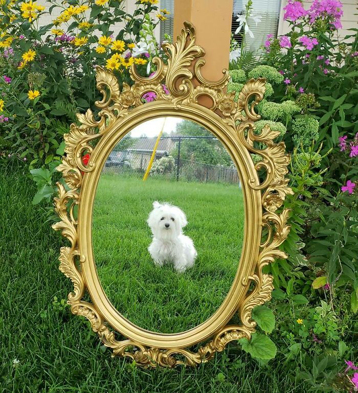 This Facebook Marketplace Photo Looks Like An Art Piece To Me