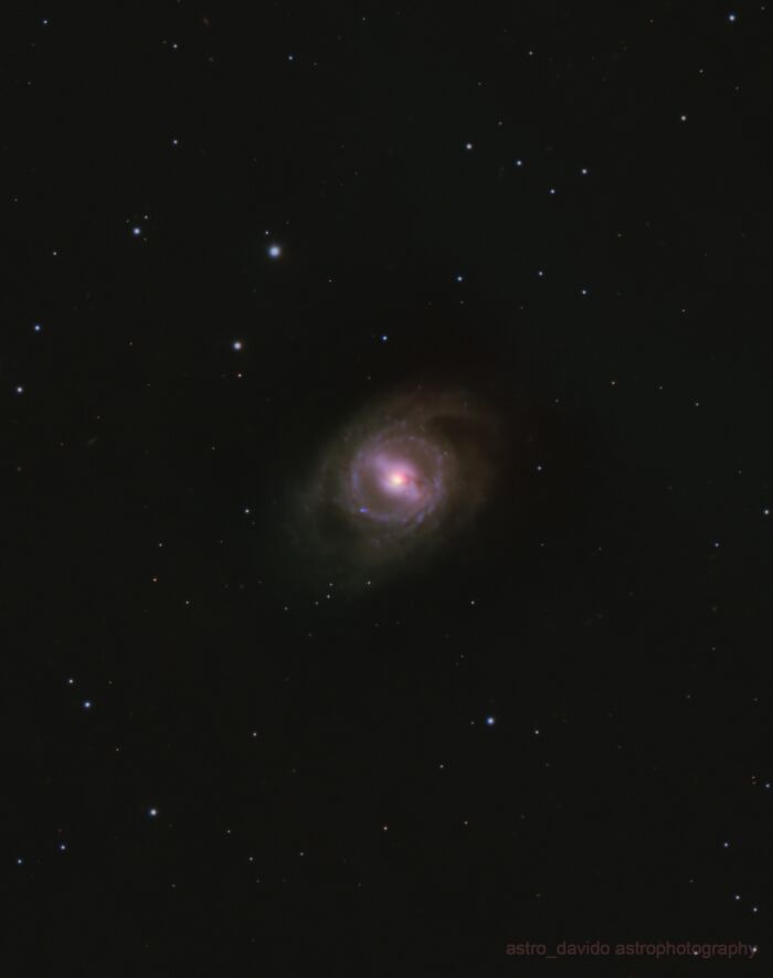 Spiral galaxy with bright center in astrophotos taken from Kentucky backyard