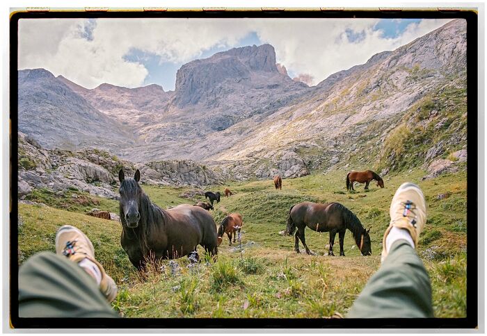 "Between Hooves And Horizons" By Wes Colvin, France
