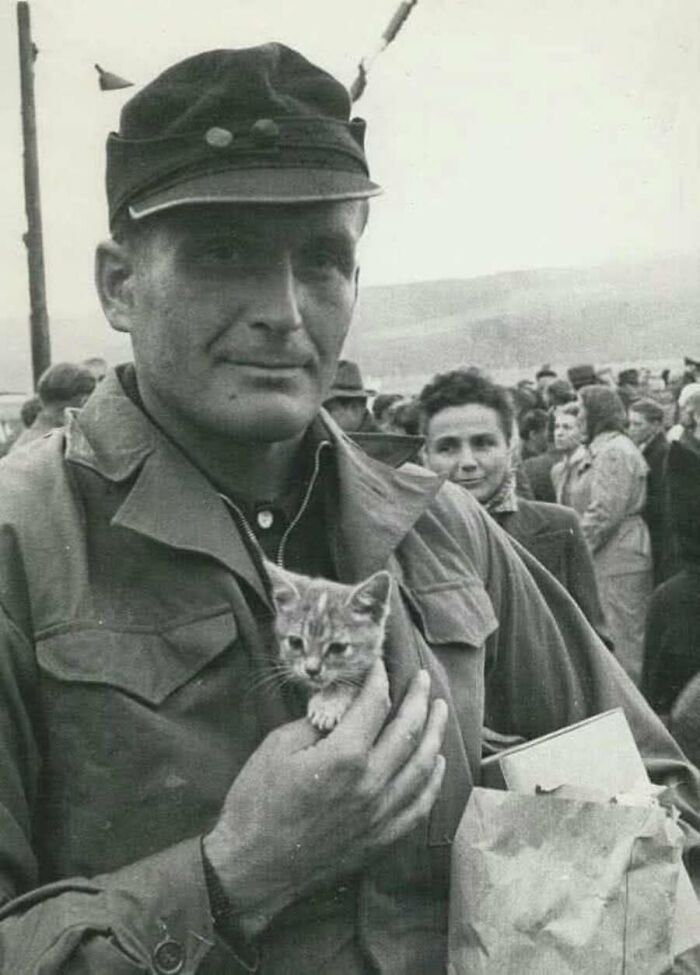 A soldier smiles while holding a small kitten in his pocket, a heartwarming vintage cat photo.
