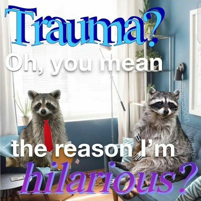 Raccoons Have Never Been More Relatable Than They Are In These 30 Dark Humor Memes