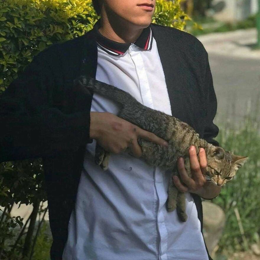 Chaotic pic of a person holding a cat like a rifle, pointing their finger like a trigger, creating a disturbing scene.