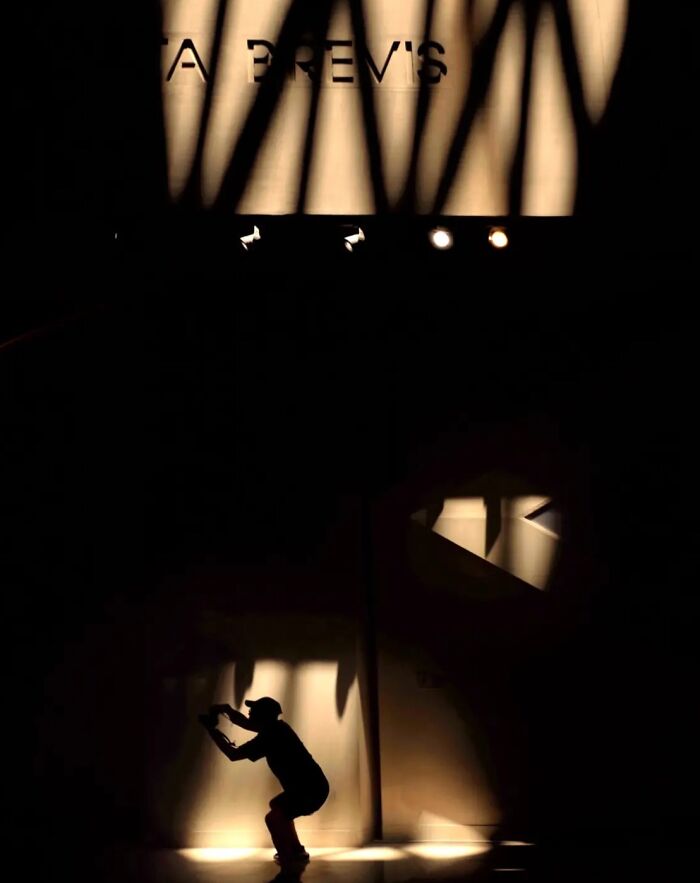 The Silhouette Artist