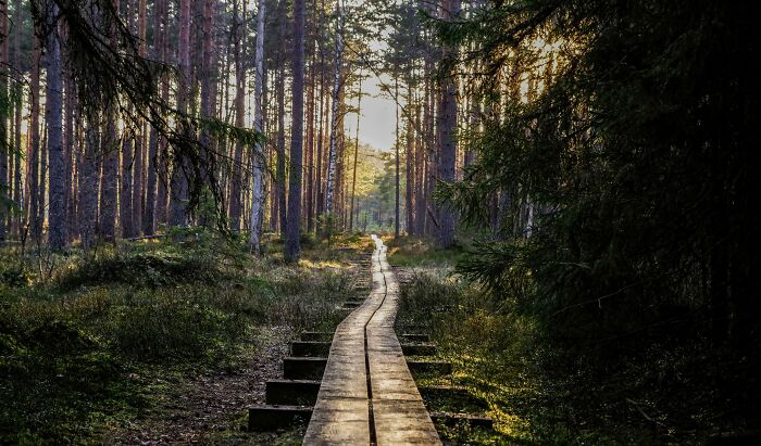 Confidently Wrong: 34 “Facts” People Believed For Far Too Long
