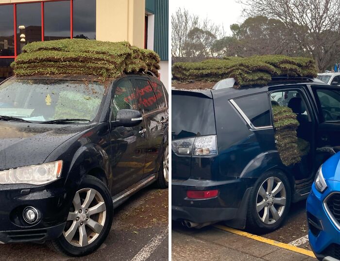 A car loaded with many rolls of sod grass, a truly bizarre way to transport lawn materials on its roof and side.