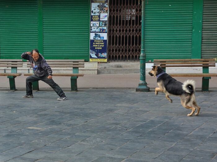 A man playfully poses towards a dog jumping on a street sidewalk, showcasing the strange reality of animals living on the streets.