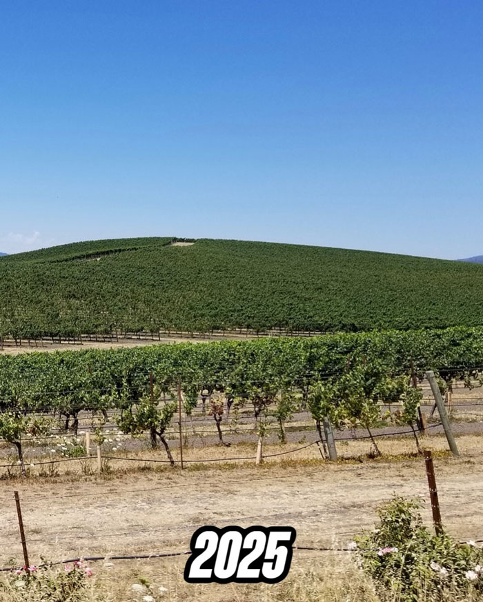 People Are Shocked When They Find Out How The Iconic Window XP Wallpaper Hill Looks Now