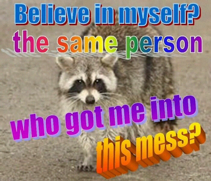 Raccoons Have Never Been More Relatable Than They Are In These 30 Dark Humor Memes