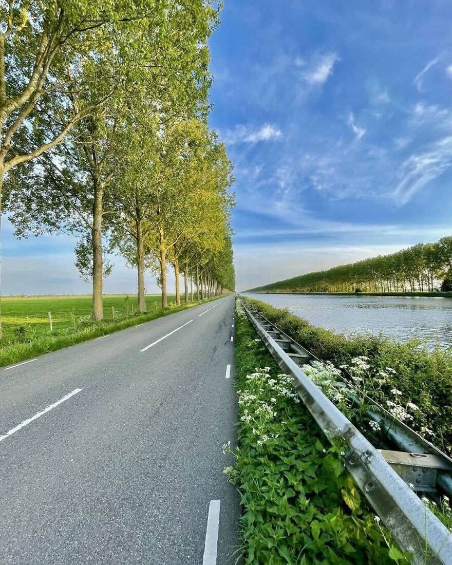 A beautiful but disturbing pic of a road lined with trees on one side and a canal on the other, creating an eerie symmetry.
