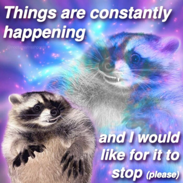 “Nocturnal Trash Posts”: 30 Of The Best Raccoon Memes This Dedicated Instagram Account Has To Offer