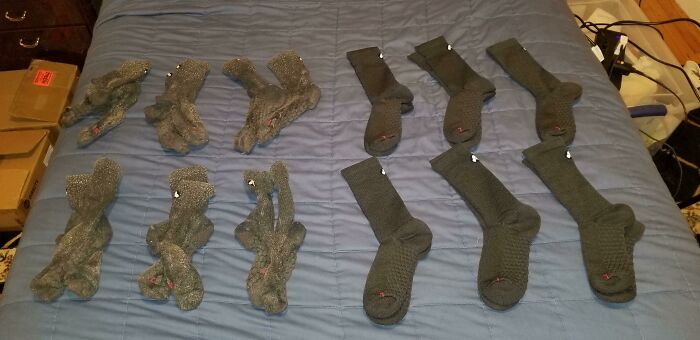 Neverquit Merino Wool Crew Socks. Daily Wear Since November 2019