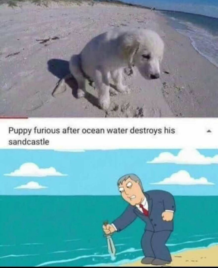 A sad puppy on a beach with a meme of a man with a knife, creating a disturbing pic.