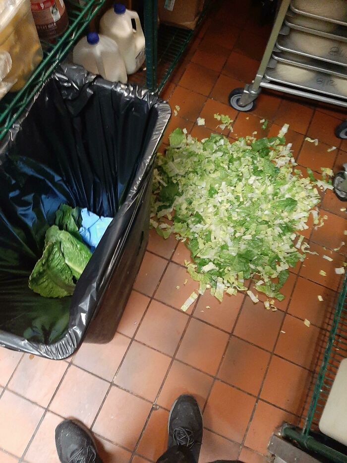 Spilled All The Lettuce I Just Cut Up At Work Today