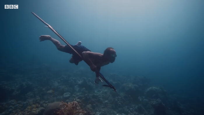 Isolated Tribe Can Swim Underwater For Long Hours, Which Has Developed A "New Mutant Gene"