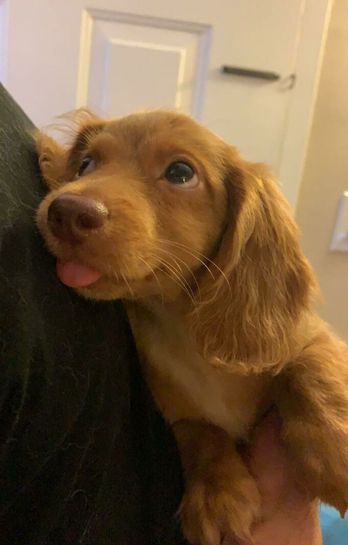 L****a’s First Night At Home!