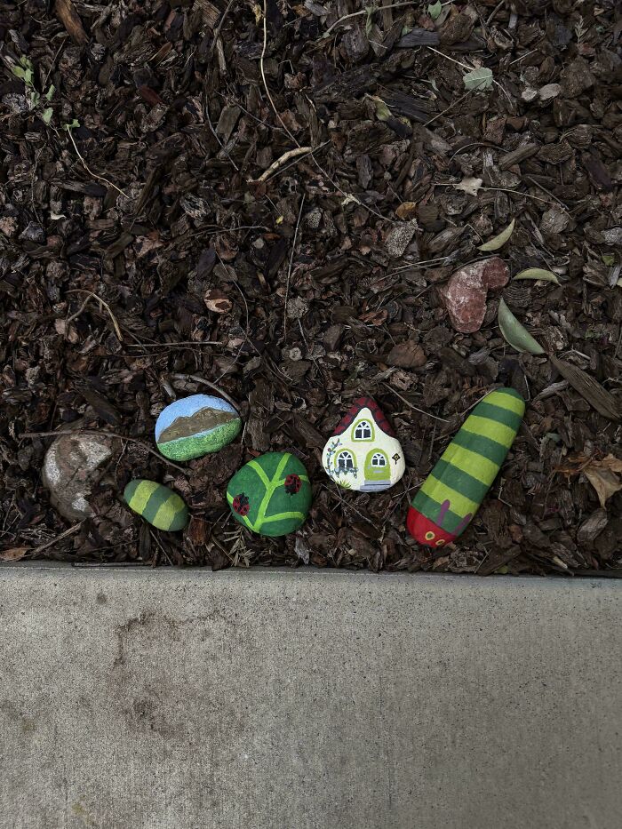 Painted rocks including frog bag and quirky garden stones in mulch