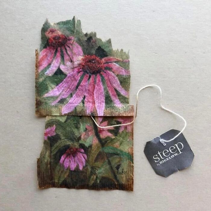 Pink coneflowers painted on used tea bags by artist Ruby Silvious