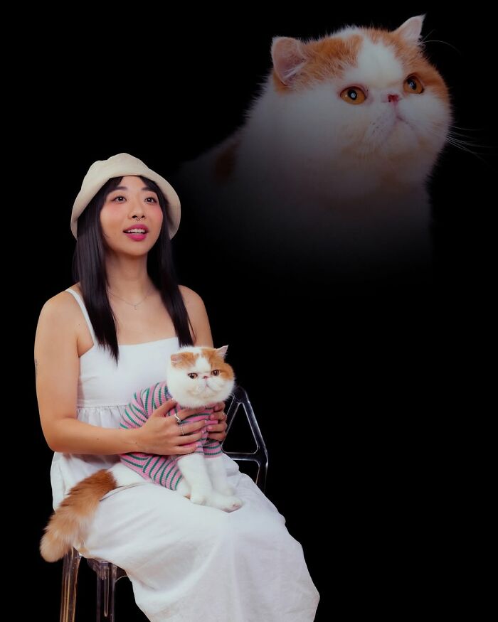 Quirky portraits of pets and their owners, showing a woman in white holding an exotic shorthair cat, with a floating cat head.