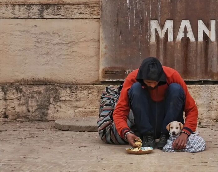 A man sitting on the street feeds a small puppy wrapped in a blanket, highlighting the reality of animals living on the streets.