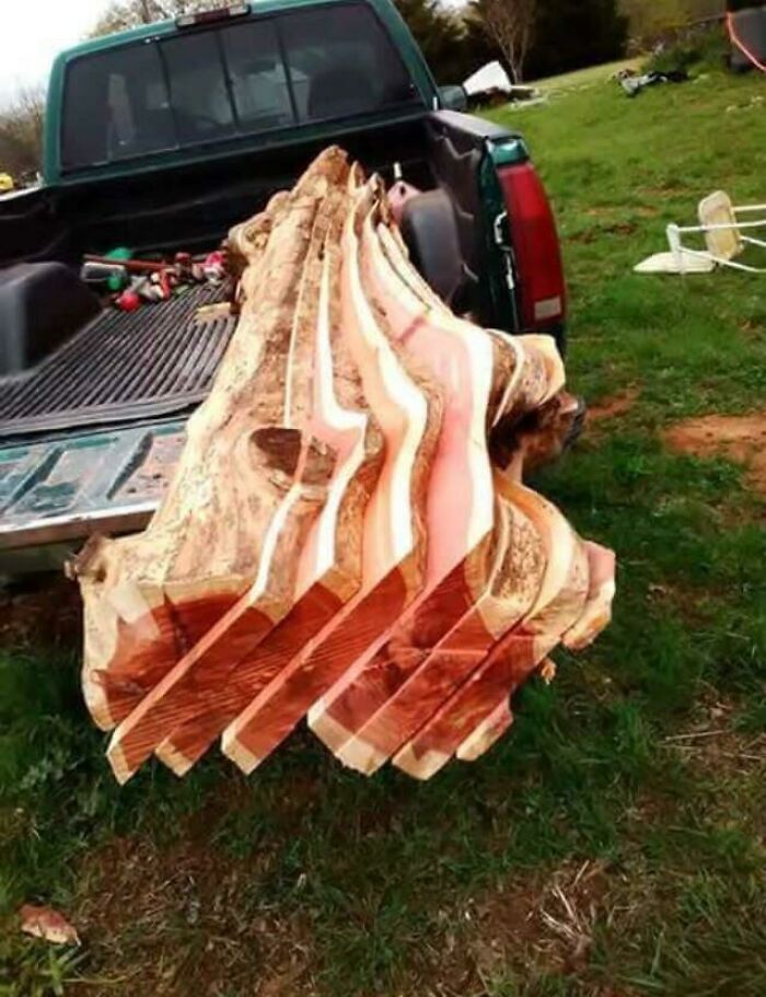 A tree trunk cut into several planks, resembling sliced meat. This is a forbidden food not meant to be eaten.