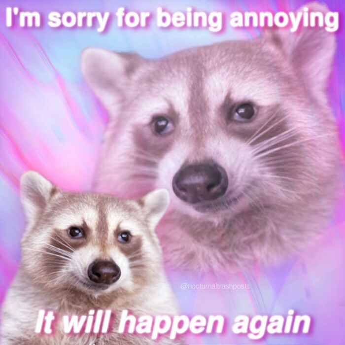 “Nocturnal Trash Posts”: 30 Of The Best Raccoon Memes This Dedicated Instagram Account Has To Offer