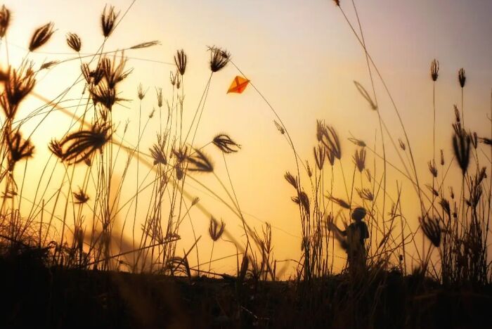 Fly High, Little Kite