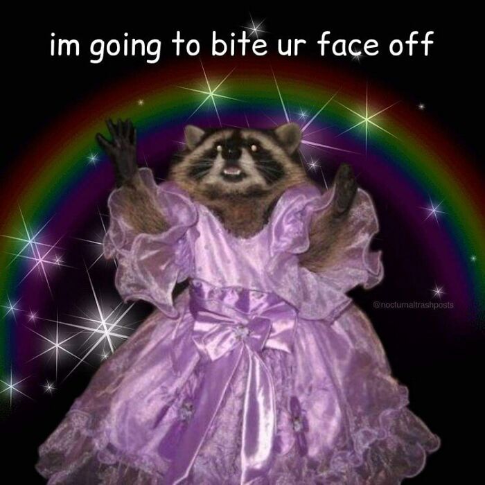 “Nocturnal Trash Posts”: 30 Of The Best Raccoon Memes This Dedicated Instagram Account Has To Offer
