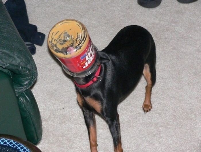 Peanut Butter