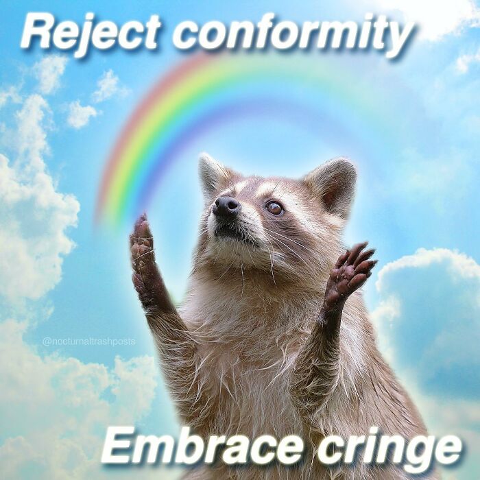 “Nocturnal Trash Posts”: 30 Of The Best Raccoon Memes This Dedicated Instagram Account Has To Offer