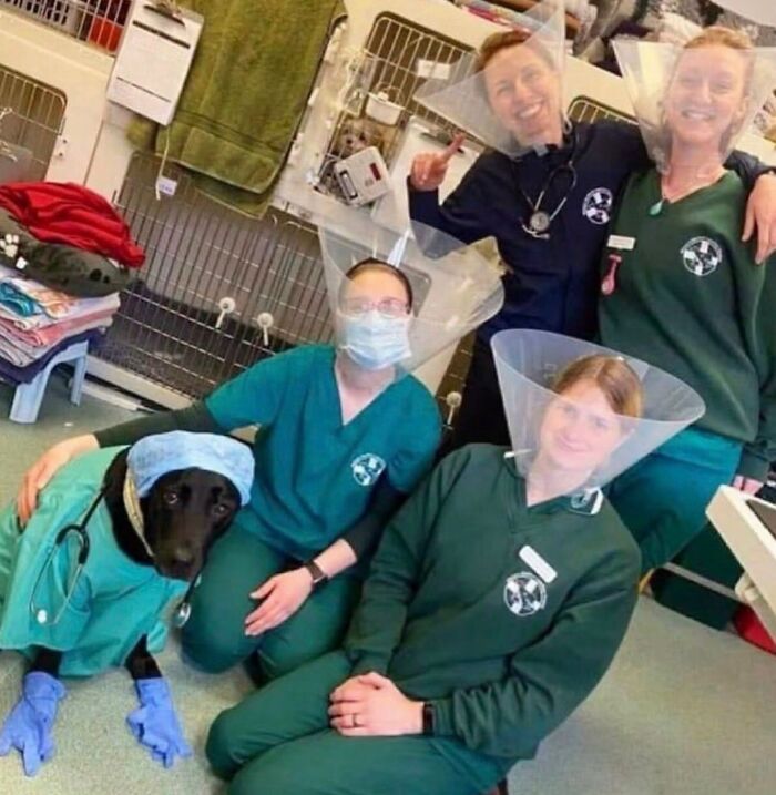 Veterinary team with a dog dressed as a medical professional