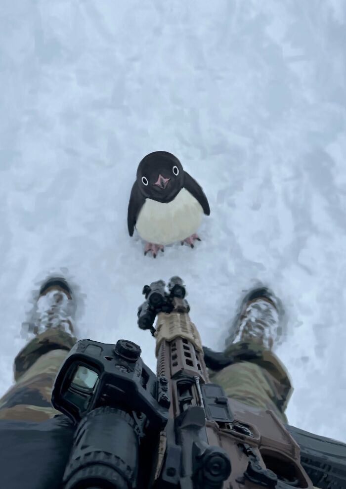 Small penguin standing on snow near a person with a rifle animals comedy