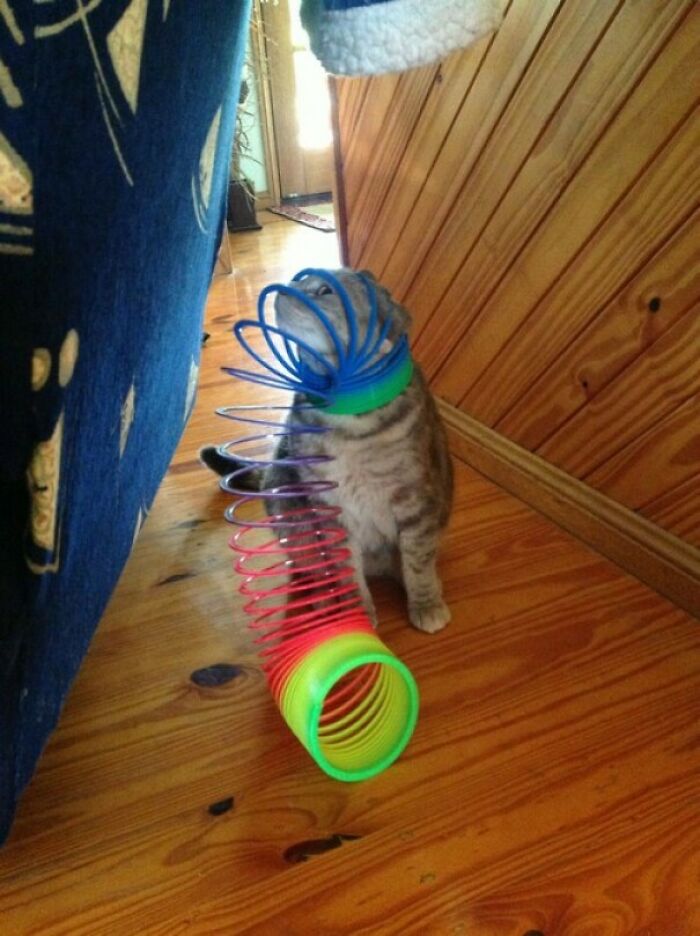 Slinky