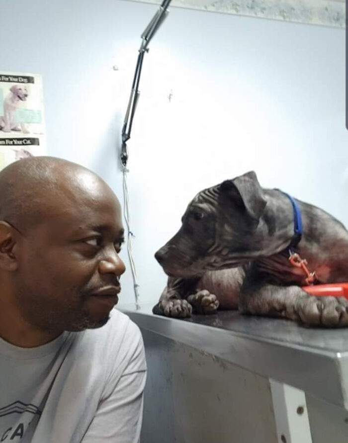 Rescued Him From The Streets. Vet Visit Was Great Despite Skin Issues