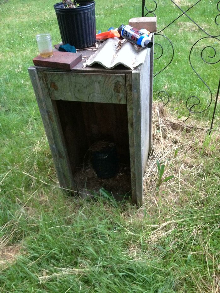 A poorly constructed wooden box acting as a shelter, surrounded by grass, a clear DIY fail.