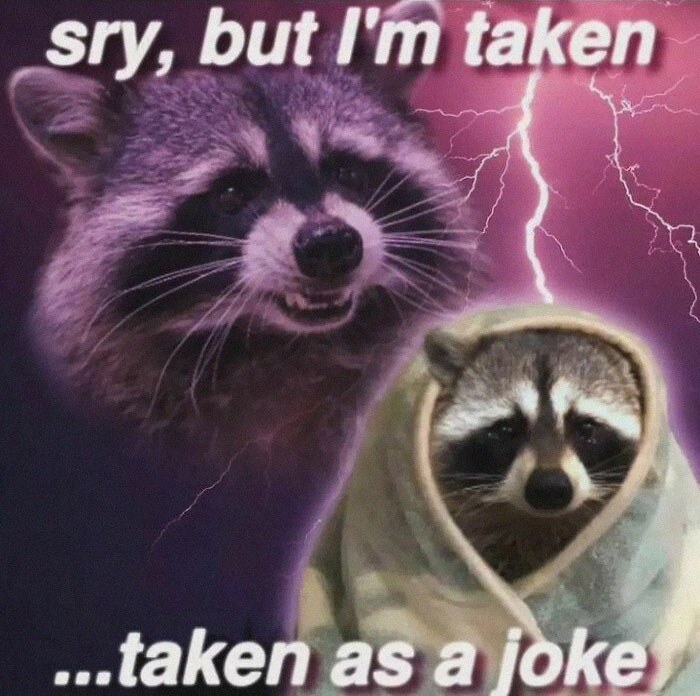 Raccoons Have Never Been More Relatable Than They Are In These 30 Dark Humor Memes