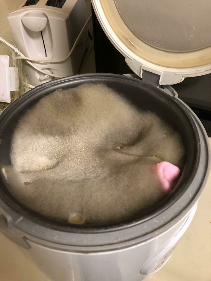 Forgot To Clean The Rice Cooker, Opened It 2 Months Later To See This. Can I Salvage It?