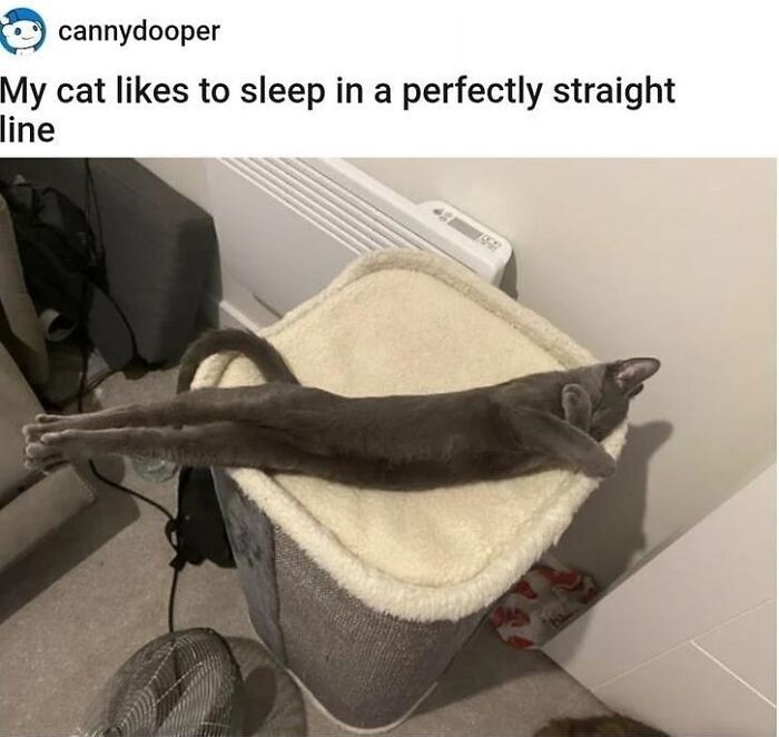 This Instagram Account Posts Hilariously Chaotic Pictures, And These 50 Are Just Too Much