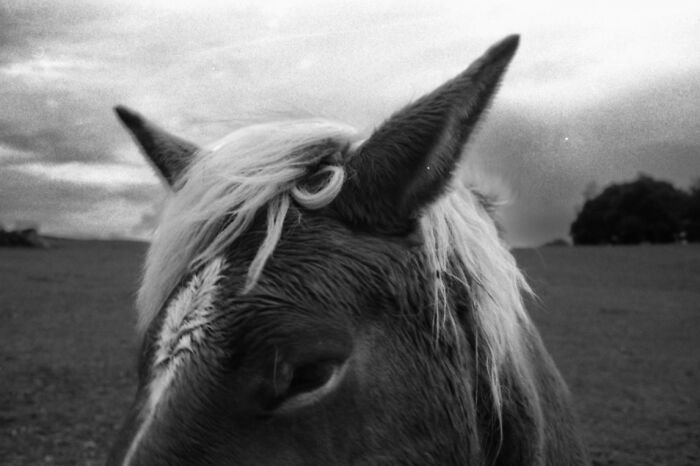 "Untitled" By Sara Fragano, Italy