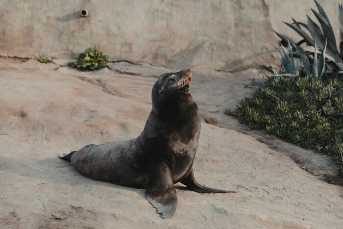 “Tuxedo-Wearing Jerks”: Zookeepers Share Their Beef With Animals In This Hilarious Thread