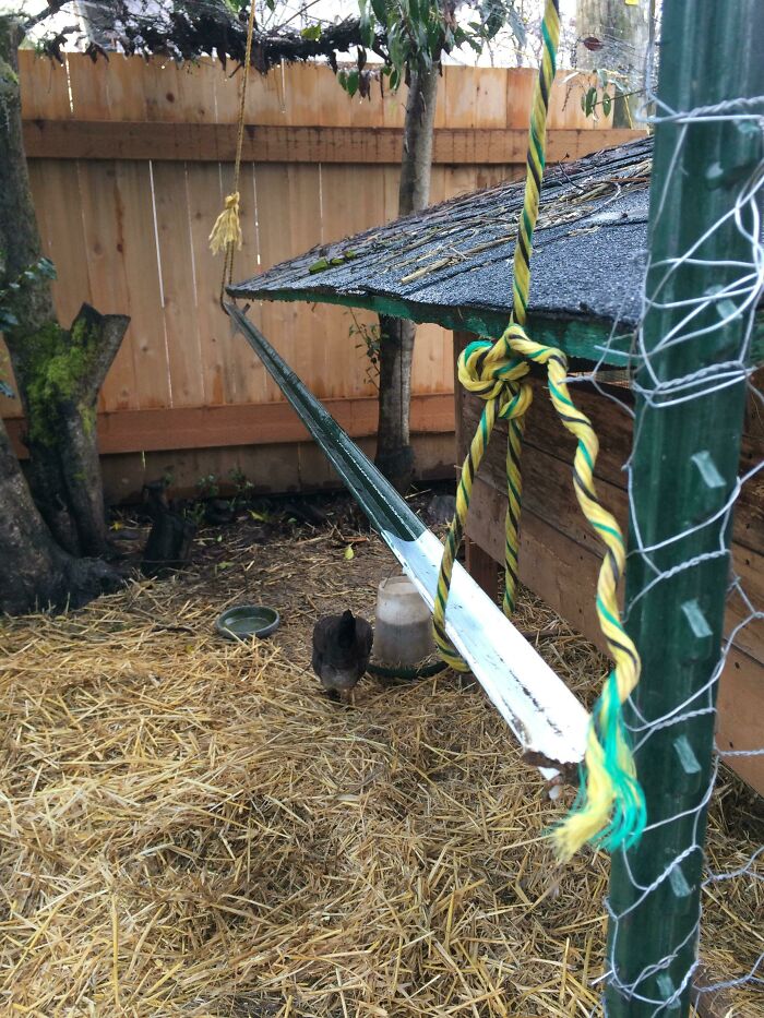 A DIY fail showing a makeshift chicken feeder made from a plastic gutter and rope in a chicken coop.