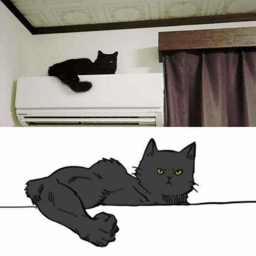 A black cat resting on an air conditioner, with a second image of a muscular, disturbing cat drawing, creating a chaotic pic.