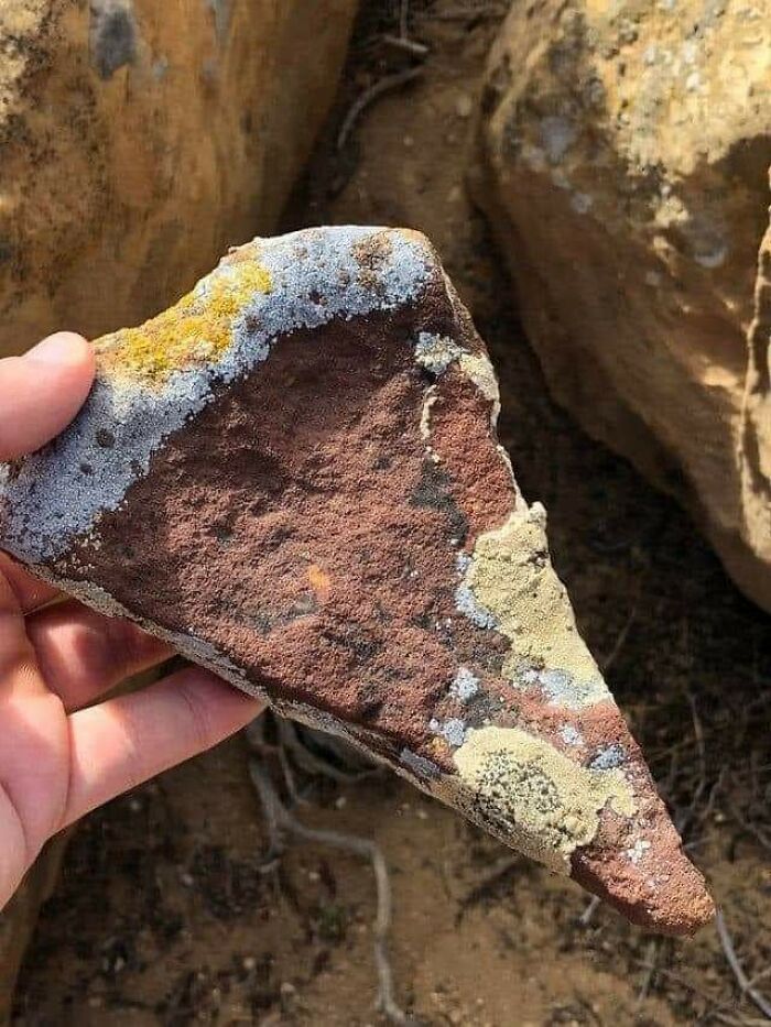A hand holding a rock shaped like a pizza slice with colorful lichen, appearing as a forbidden food.