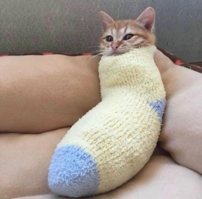 IG Account Posts Pics So Adorable, It’s Basically The Opposite Of Doom Scrolling (30 Pics)